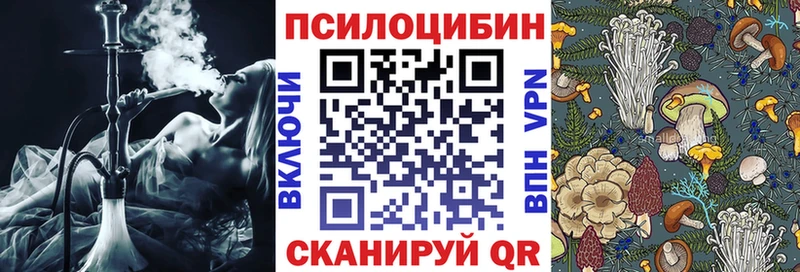 Псилоцибиновые грибы GOLDEN TEACHER  купить наркотик  blacksprut ONION  Мценск 